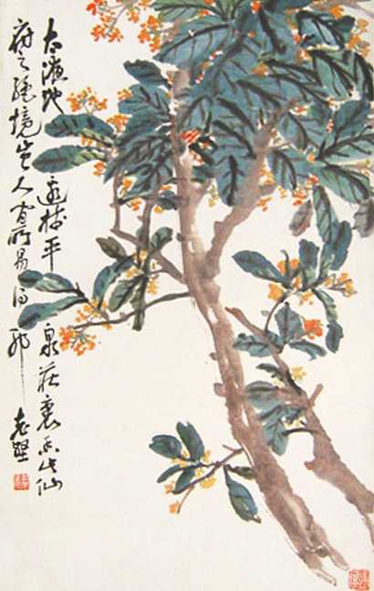 赵云壑 桂花